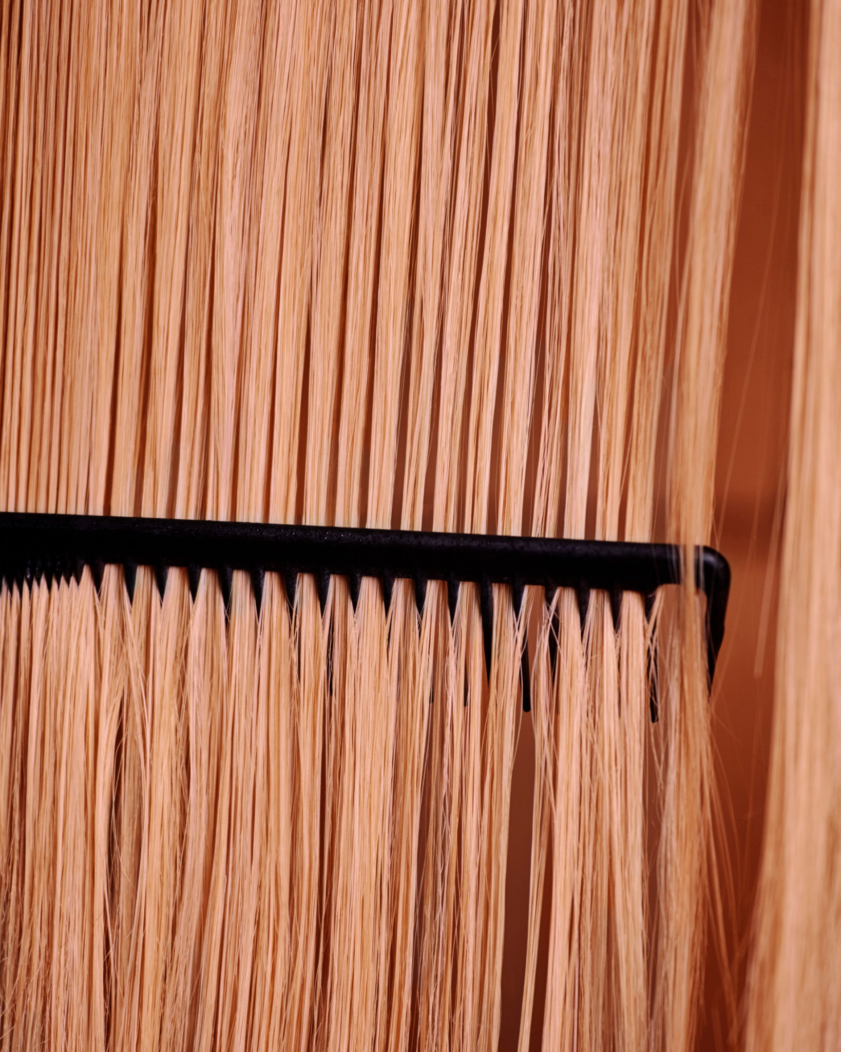 Chanterelle extract conditioner