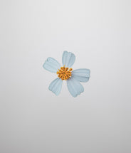 Bidens pilosa