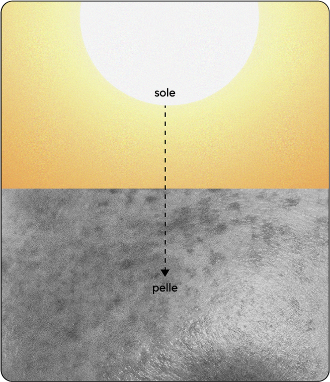 Infografica sui filtri solari chimici che mostra i raggi solari che viaggiano verso il basso e vengono assorbiti dalla pelle invece di essere riflessi.