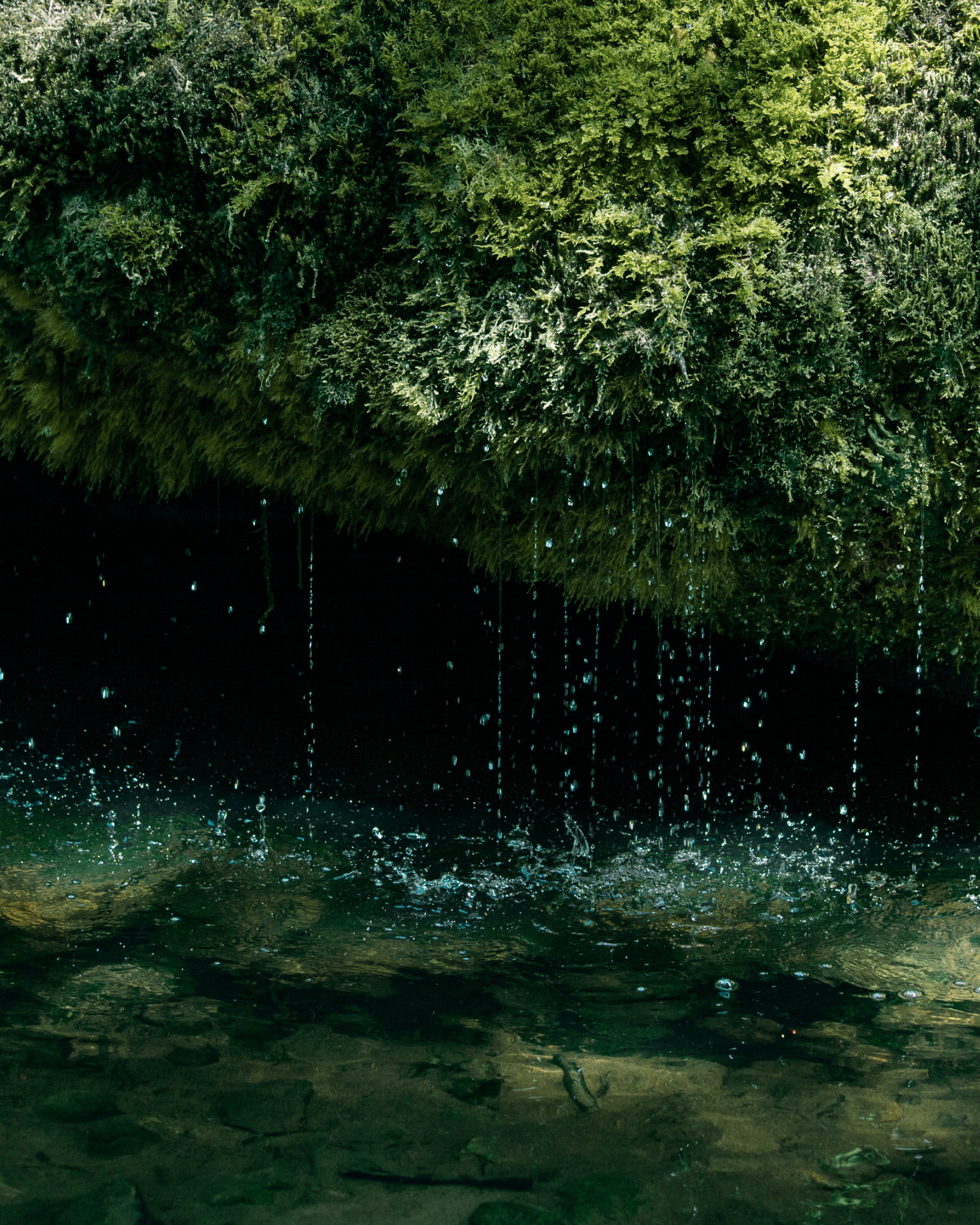 Raindrops falling into a forest stream with greenery above