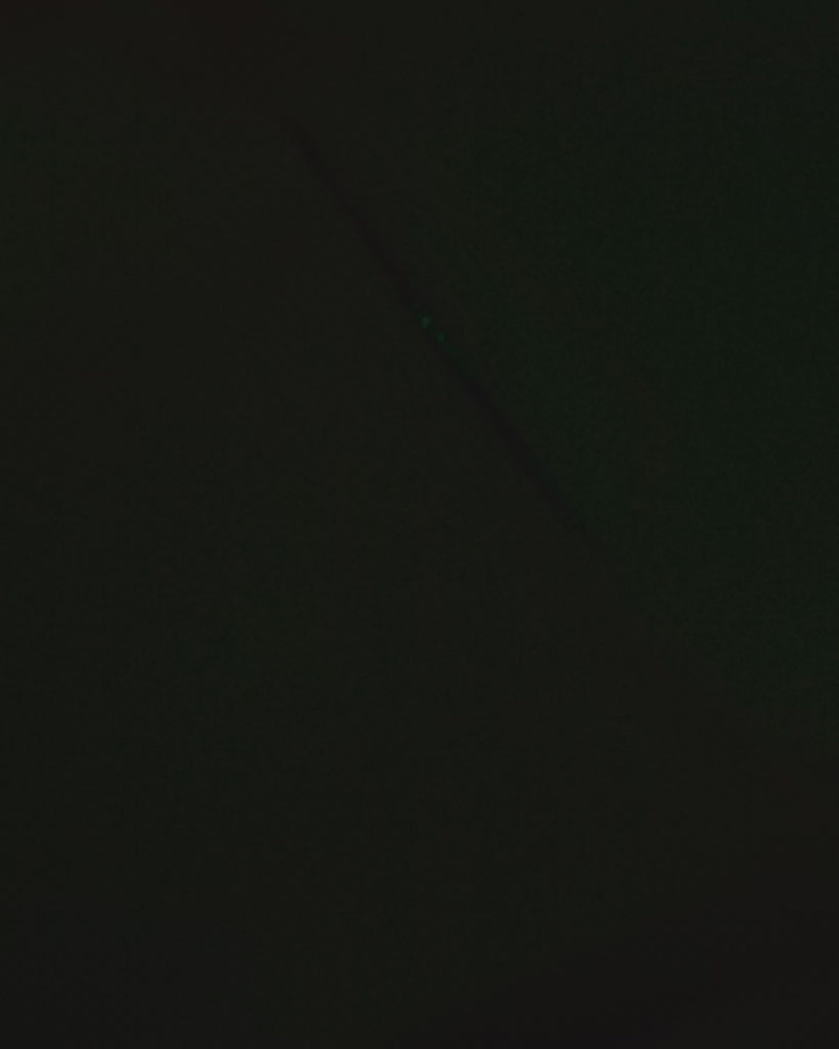 Load video: MADARA Green bag video
