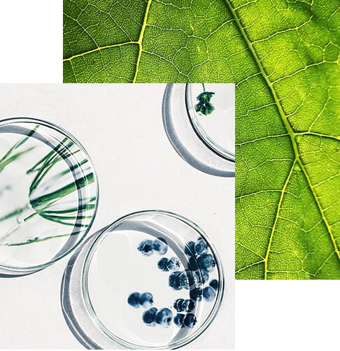 Madara Cosmetics Natural Organic